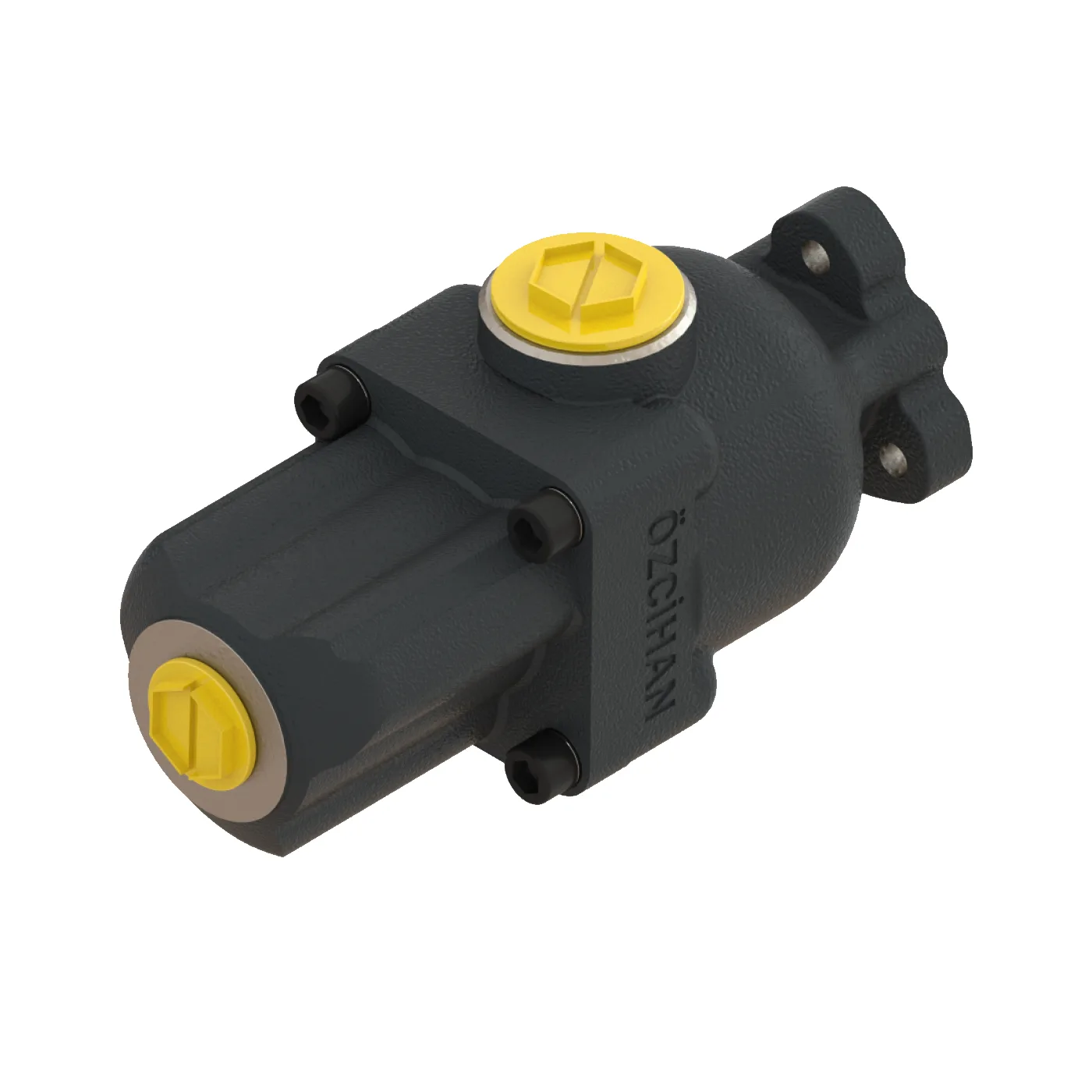CTM3P203 Döküm Gövde Pistonlu Pompa – 3 Elemanlı, 20 cm³/rev