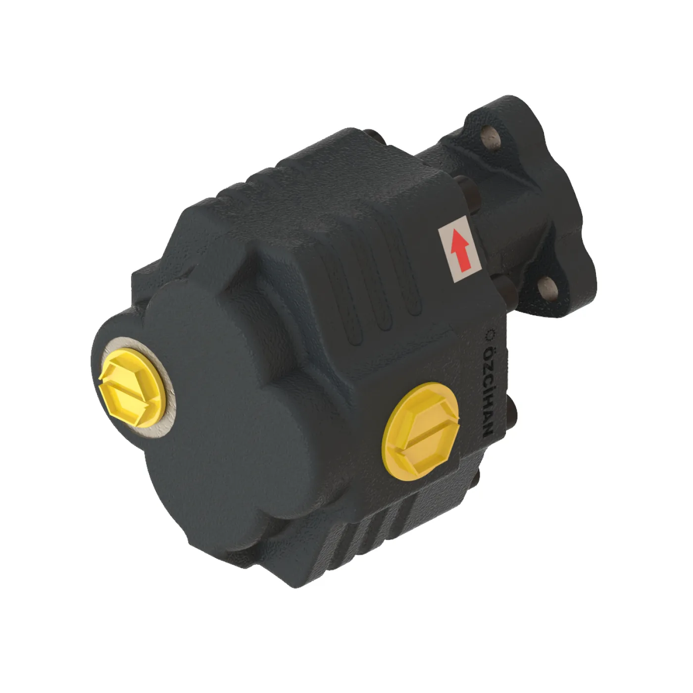 CTM33051 Döküm Gövde Dişli Pompa