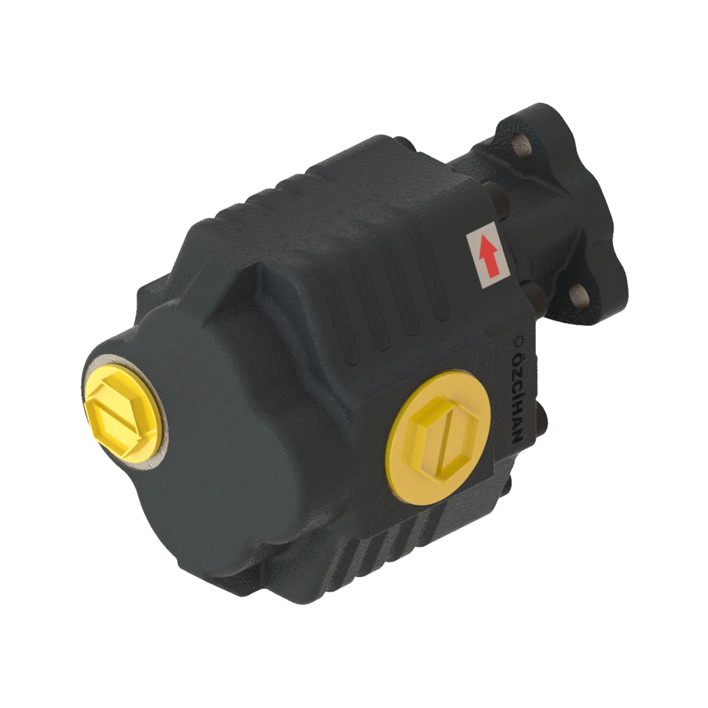 CTM33073 Döküm Gövde Dişli Pompa