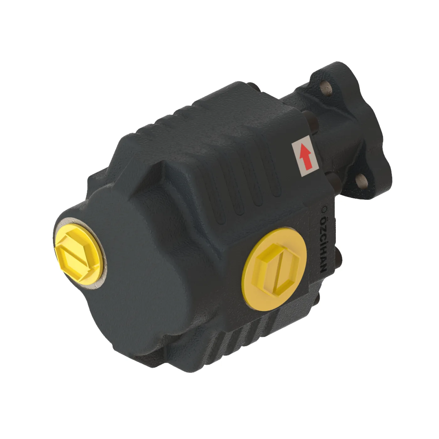 CTM33092 Döküm Gövde Dişli Pompa