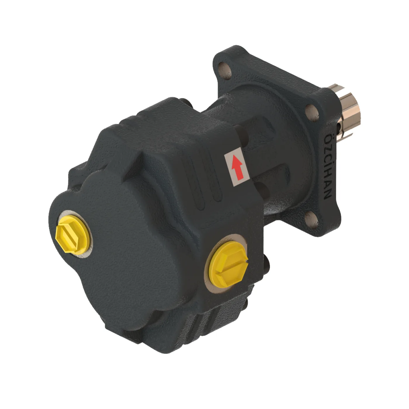CTM43034 Döküm Gövde Dişli Pompa