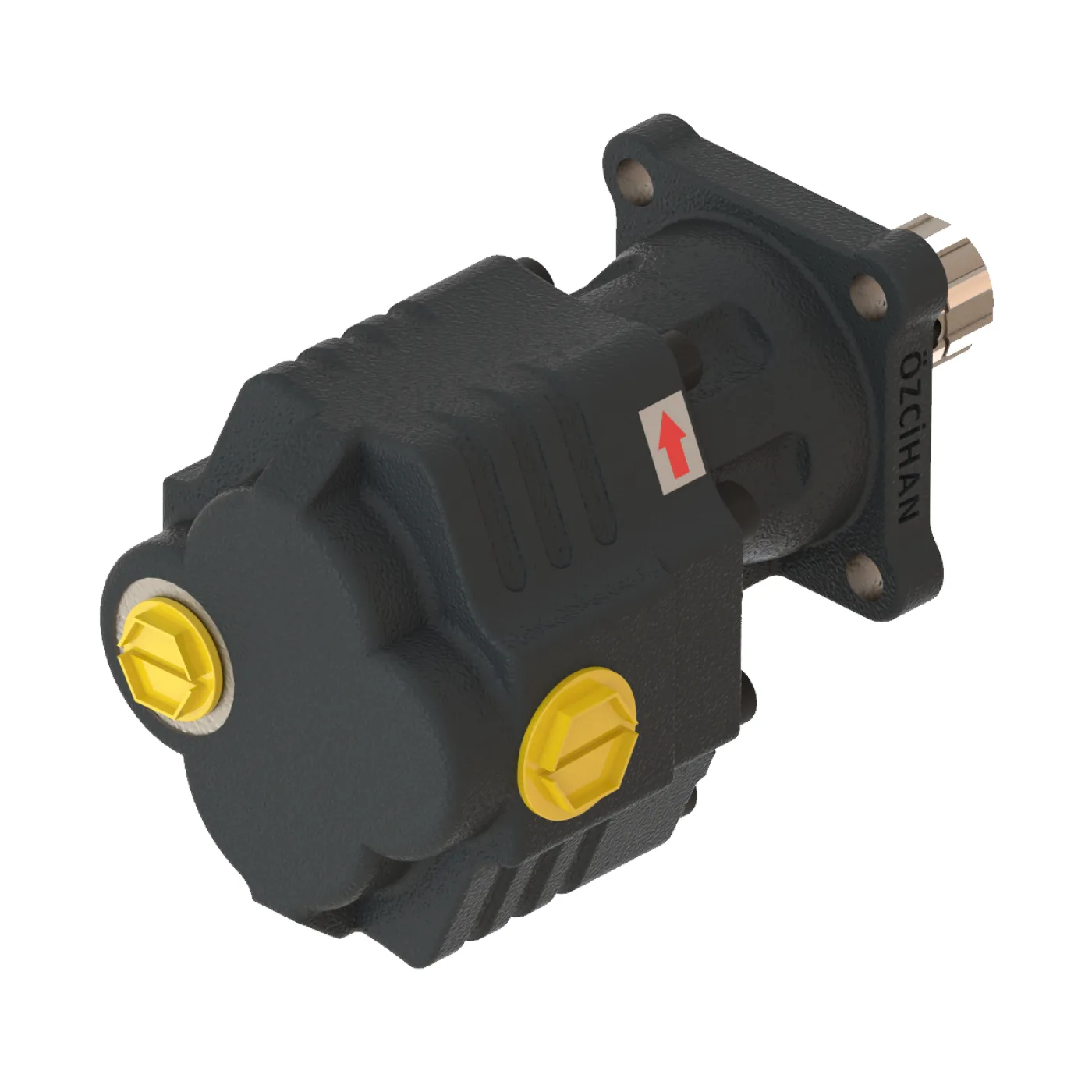 CTM43051 Döküm Gövde Dişli Pompa