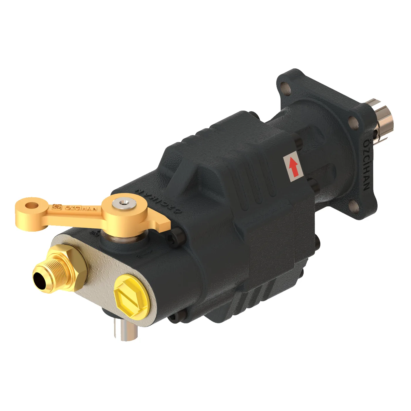CTM430511M Döküm Gövde Dişli Pompa – 51 cm³/rev
