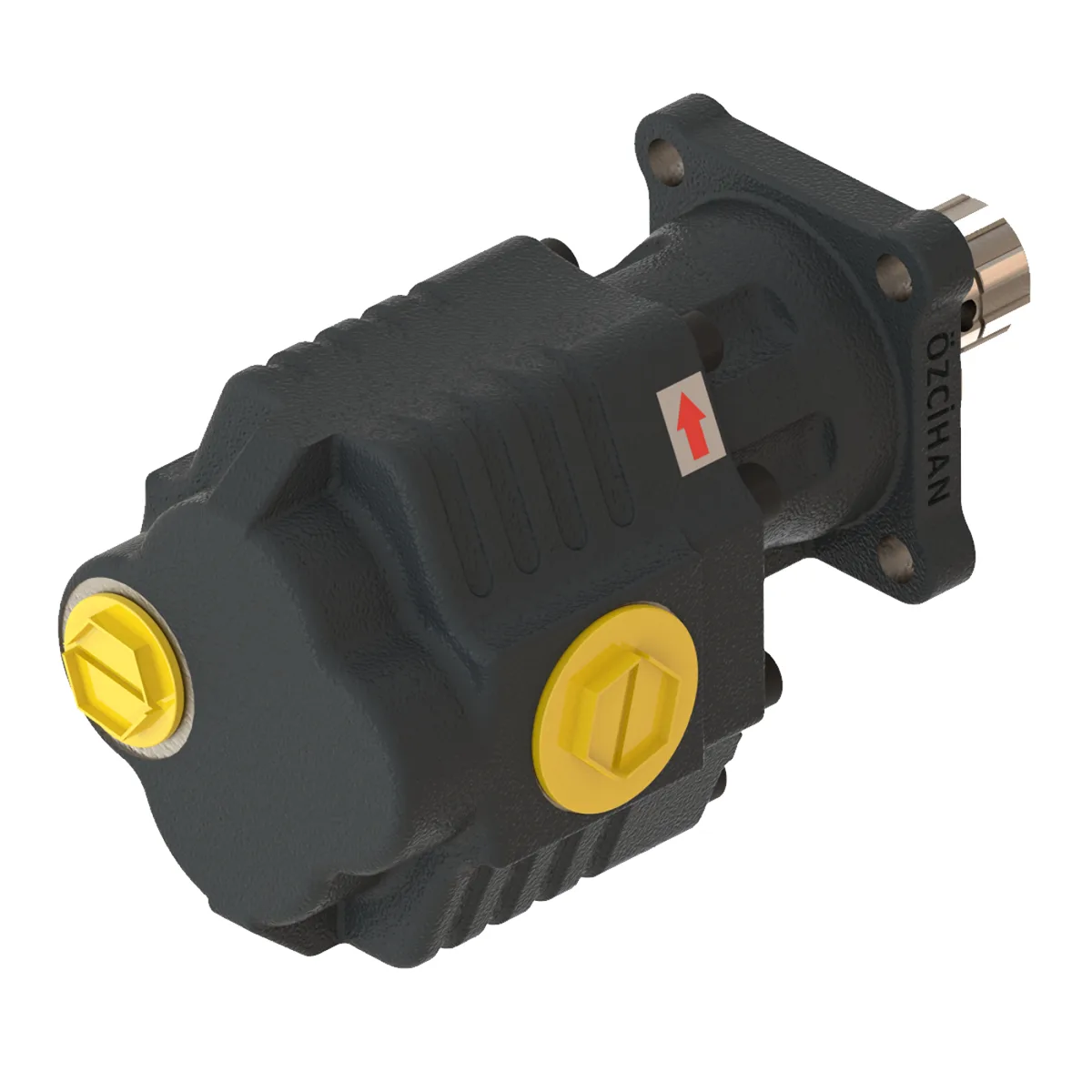 CTM43092 Döküm Gövde Dişli Pompa
