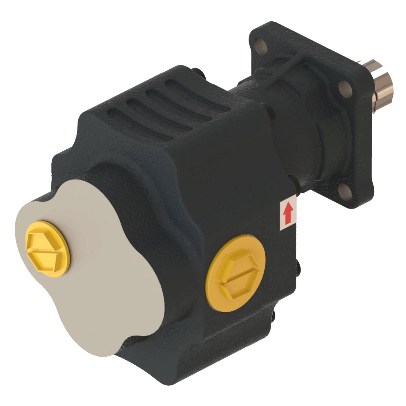 CTM440151 Döküm Gövde Dişli Pompa