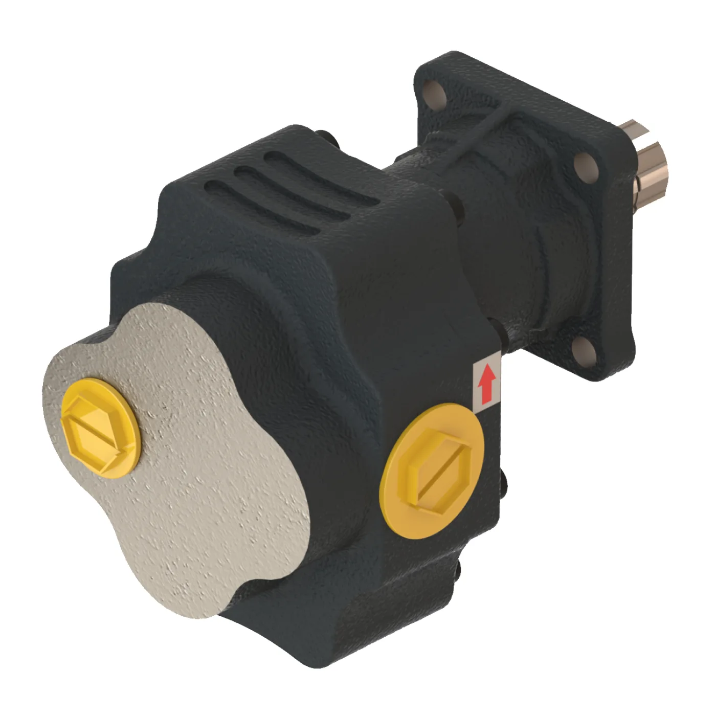 CTM44063 Döküm Gövde Dişli Pompa