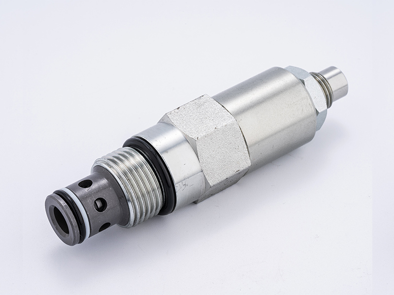 ZY-RV10-20