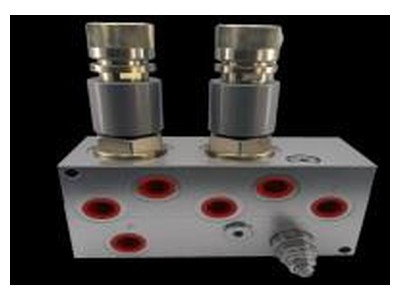 ZY-SET-SRCB063-001 Tuz Serici Oransal 2 Li Blok 315 Bar 24V